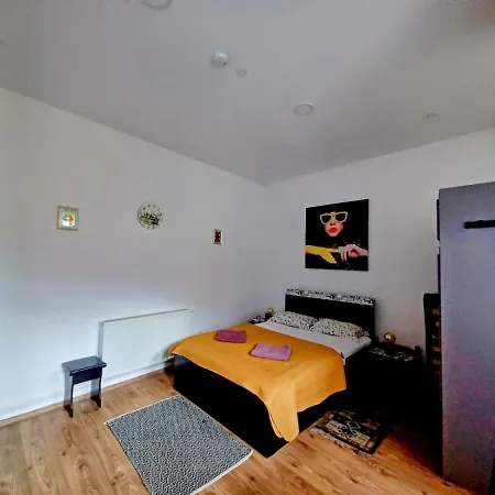 Brasov Central Studio מראה חיצוני תמונה