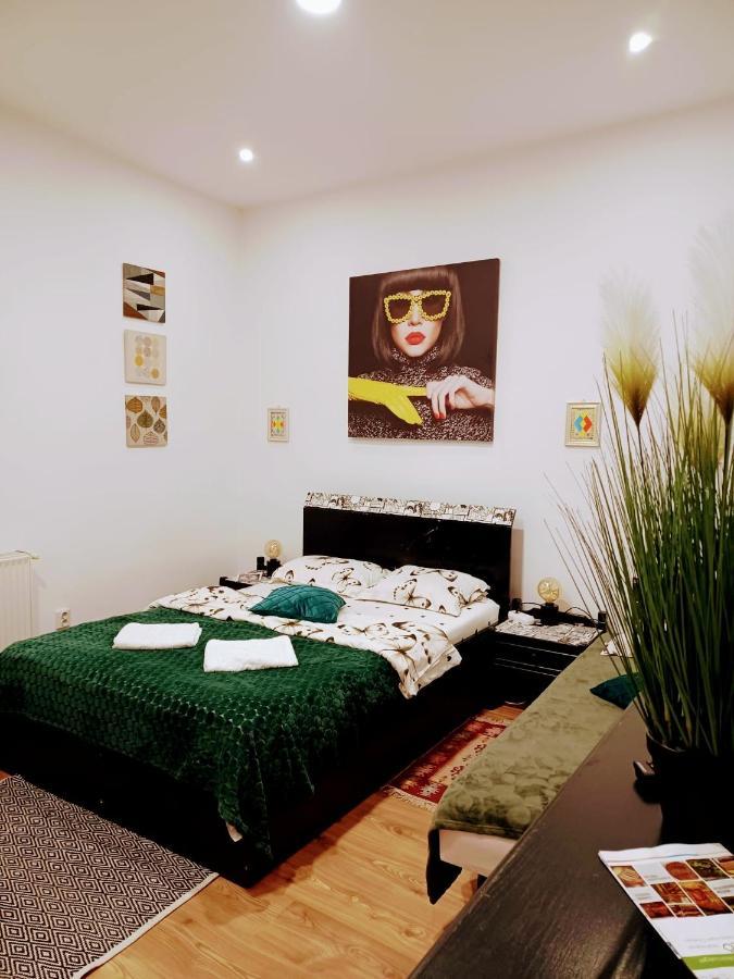 Brasov Central Studio Apartment